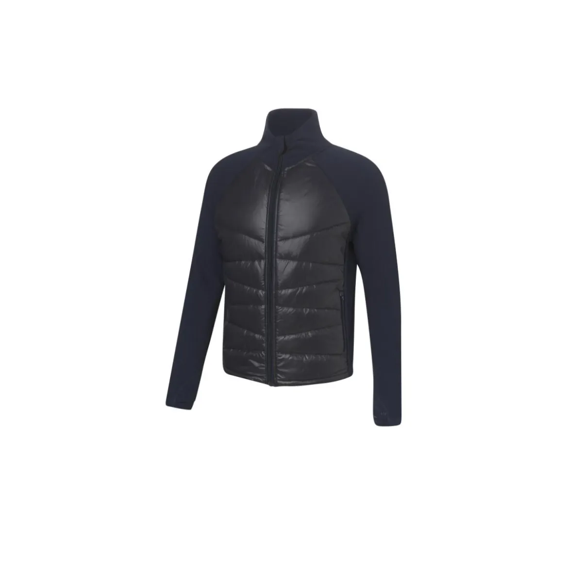 CRIVIT Herren Jacke, vorderer Teil aus gestepptem Material (Navy, S(44/46)) - B-Ware neuwertig
