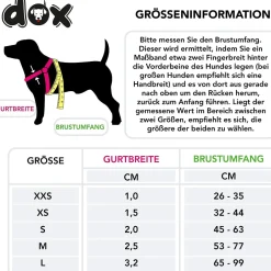 DDOXX Hundegeschirr Nylon, Step-In, Verstellbar, Ausbruchsicher, Pink, XS - B-Ware sehr gut