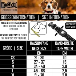 DDOXX Hundehalsband Nylon, reflektierend, verstellbar, gepolstert,Blau, S - B-Ware sehr gut