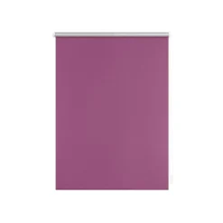 LICHTBLICK Thermo-Rollo Klemmfix, ohne Bohren, ab 45 x 150 cm - B-Ware
