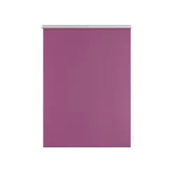 LICHTBLICK Thermo-Rollo Klemmfix, ohne Bohren, ab 45 x 150 cm - B-Ware