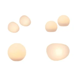 LIVARNO® LED-Solarleuchte / LED-Solarleuchten - B-Ware