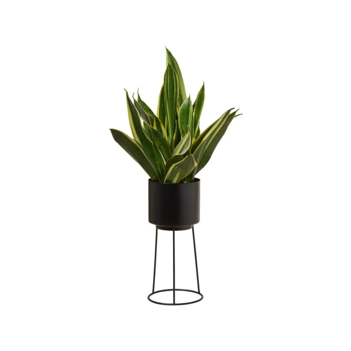 LIVARNO® Planztopf mit Gestell - B-Ware