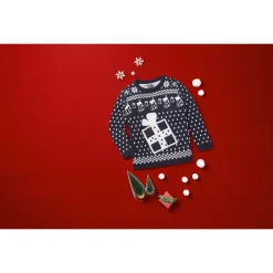 lupilu® Kleinkinder Mädchen Pullover mit niedlichem Weihnachtsmotiv - B-Ware
