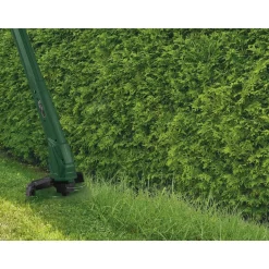 PARKSIDE® Elektro-Rasentrimmer »PRT 300 C3«, 300 W - B-Ware