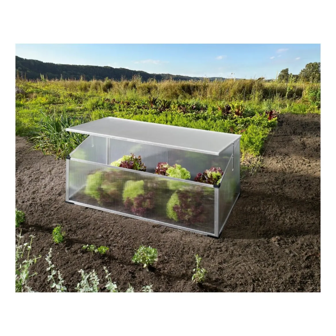 PARKSIDE® Garten-Frühbeet - B-Ware