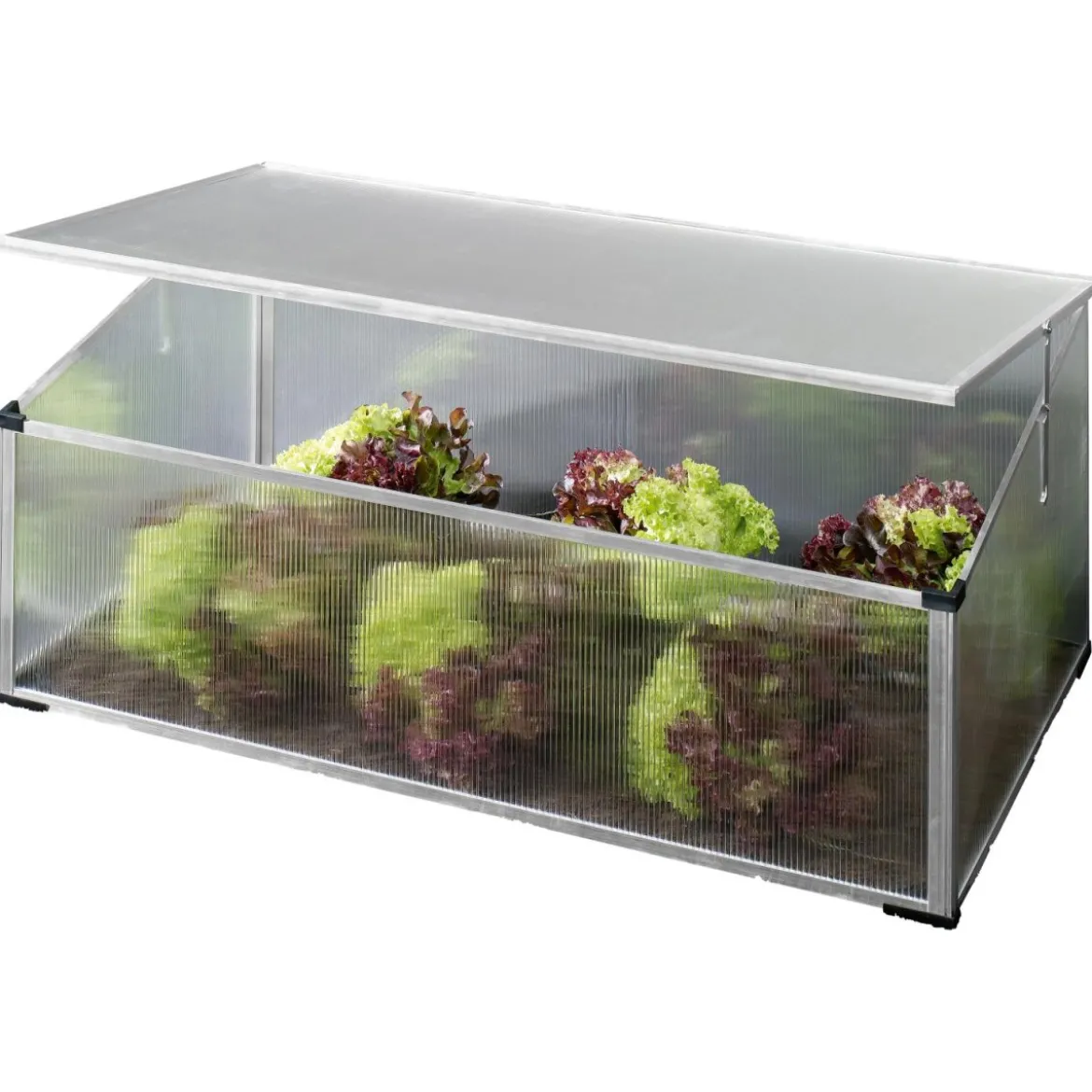 PARKSIDE® Garten-Frühbeet - B-Ware