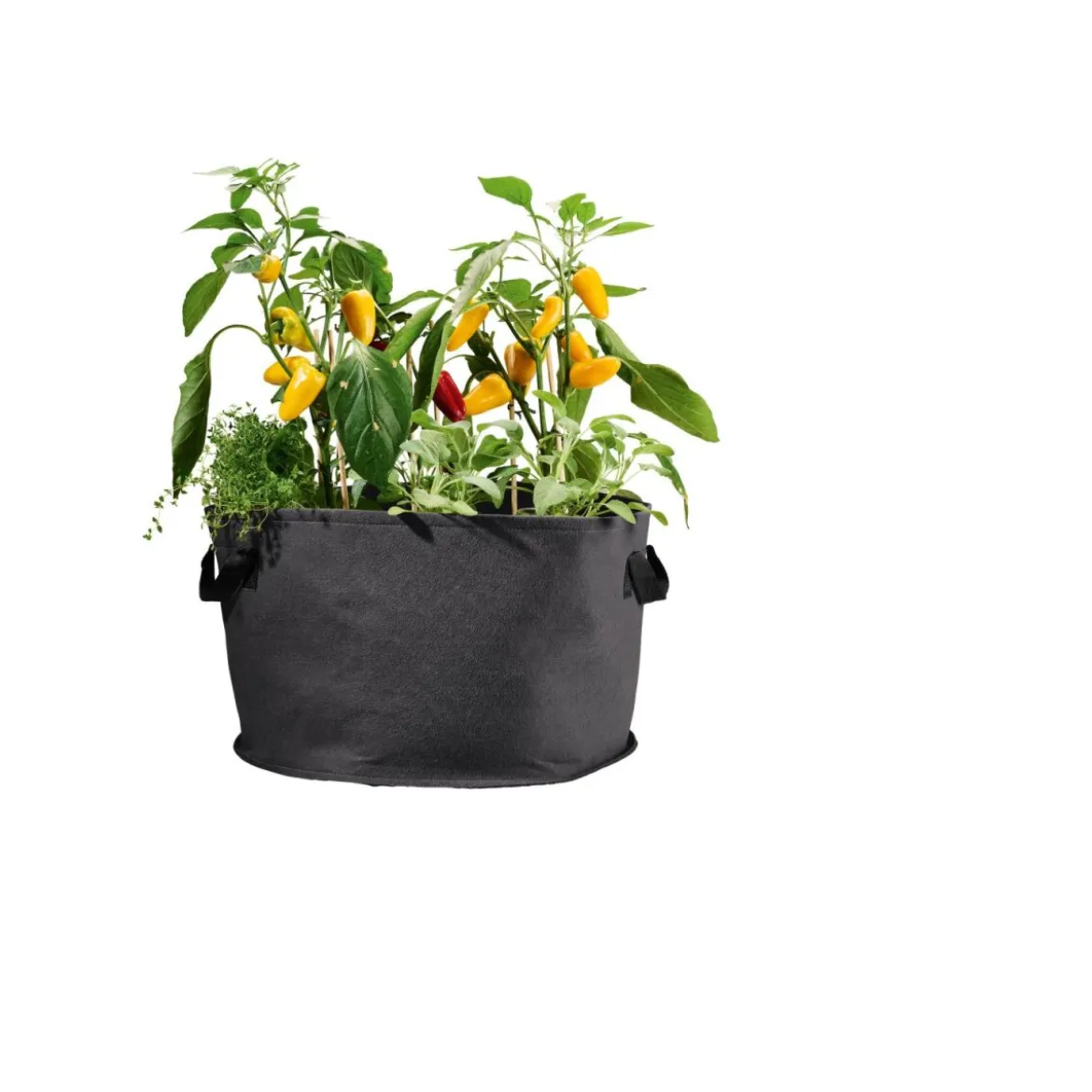 PARKSIDE® Pflanzsack-Set, 2 Stück, aus Filz - B-Ware