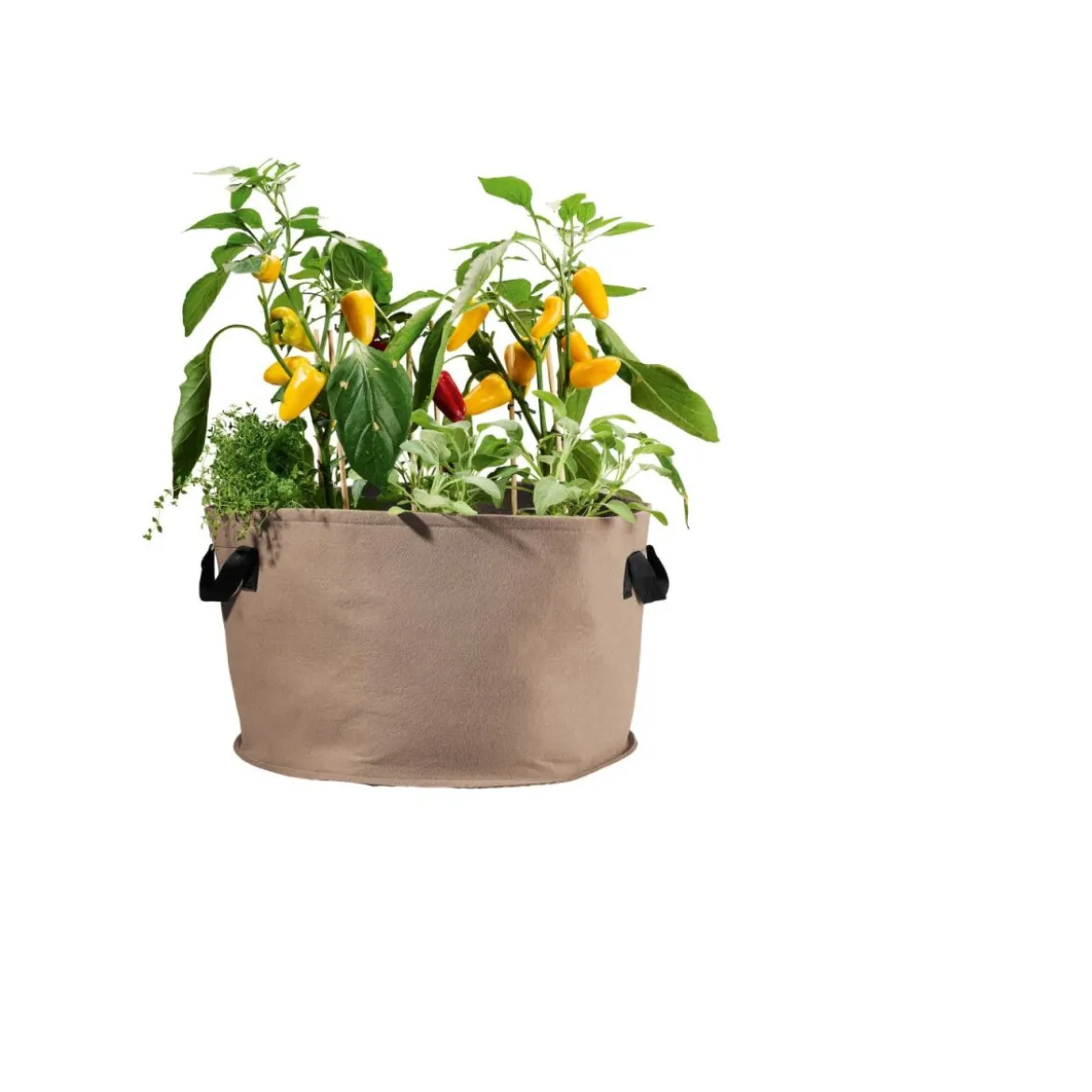 PARKSIDE® Pflanzsack-Set, 2 Stück, aus Filz - B-Ware