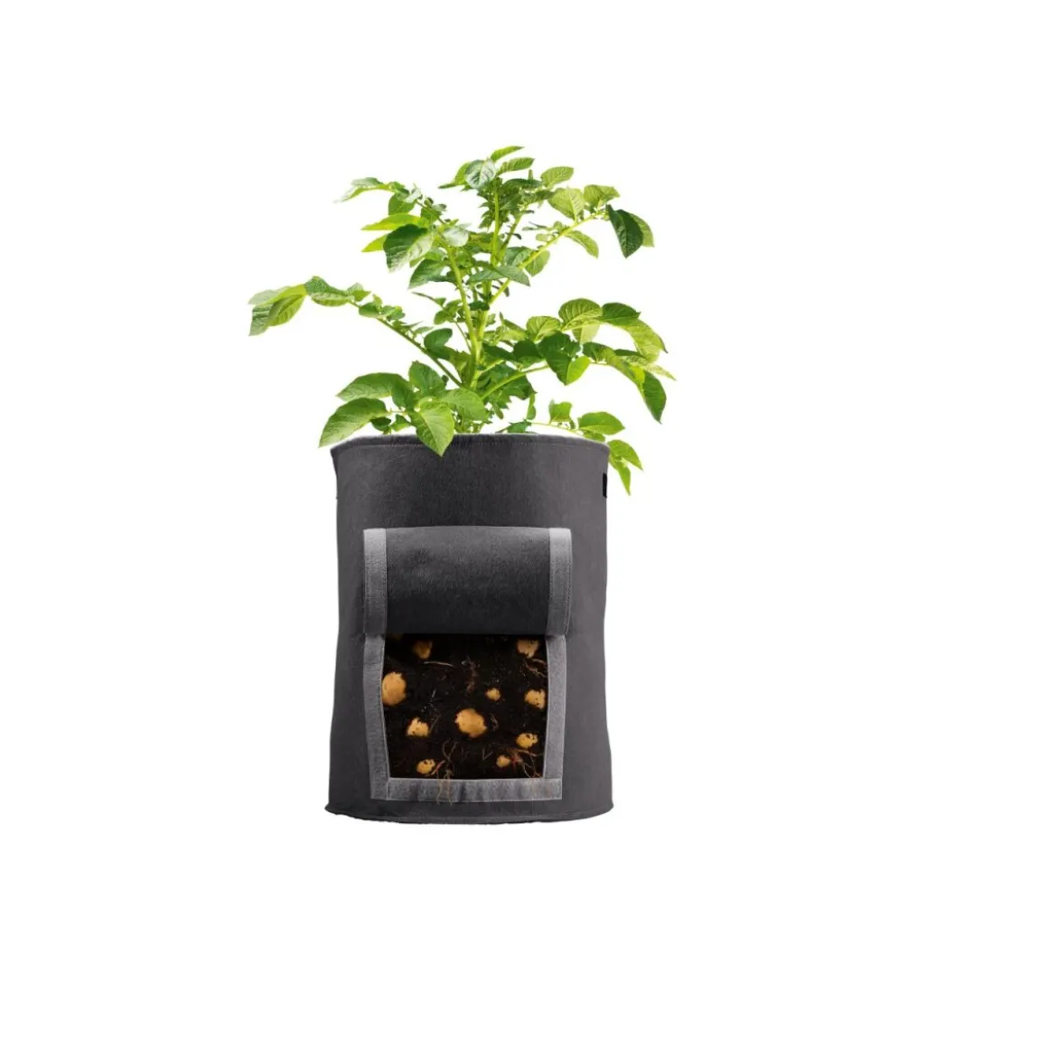PARKSIDE® Pflanzsack-Set, 2 Stück, aus Filz - B-Ware