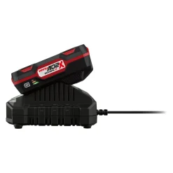PARKSIDE® 20 V / 2 Ah Akku »PAP 20 B1« und Ladegerät »PLG 20 C1« - B-Ware sehr gut