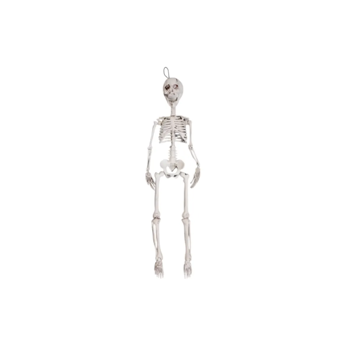 PREXTEX Halloween-Skelett, 76 cm - B-Ware gut
