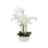 Pureday Kunstpflanze »Orchideentopf«, mit prächtigen Blüten - B-Ware sehr gut