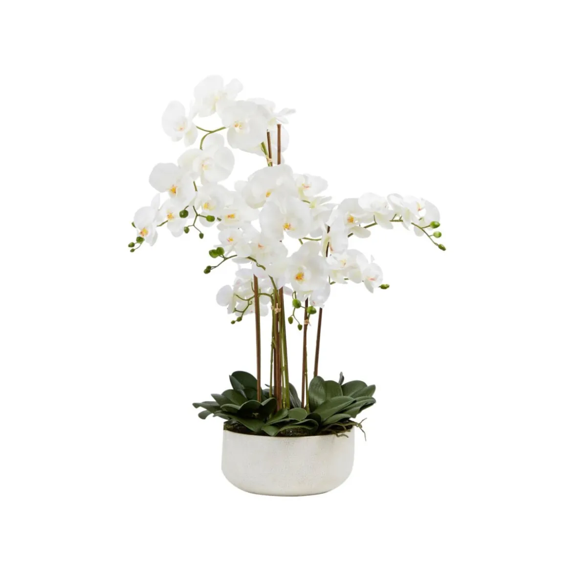 Pureday Kunstpflanze »Orchideentopf«, mit prächtigen Blüten - B-Ware sehr gut