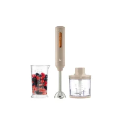 SILVERCREST® Stabmixer-Set SSSH 600 C1 - B-Ware