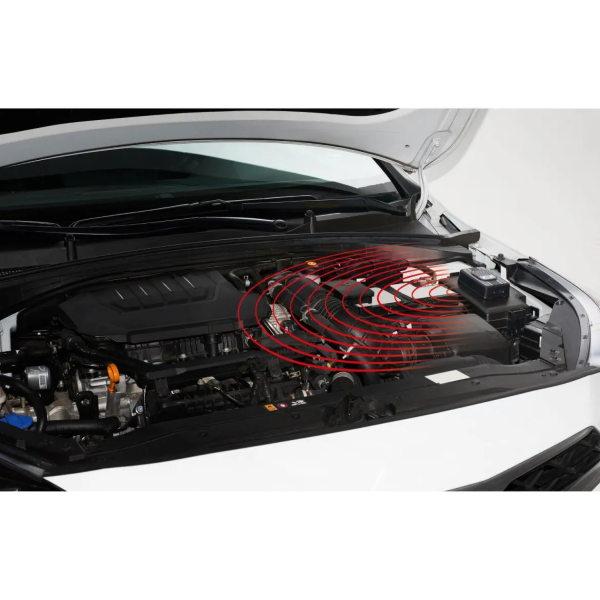 ULTIMATE SPEED® Ultraschall-Marderschreck mit Blitzlicht - B-Ware sehr gut