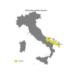 We are Italiano Primitivo Puglia IGP halbtrocken, Rotwein 2021